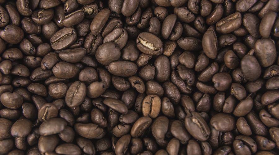 Coffee Grind Guide: Espresso, Filter or Plunger?